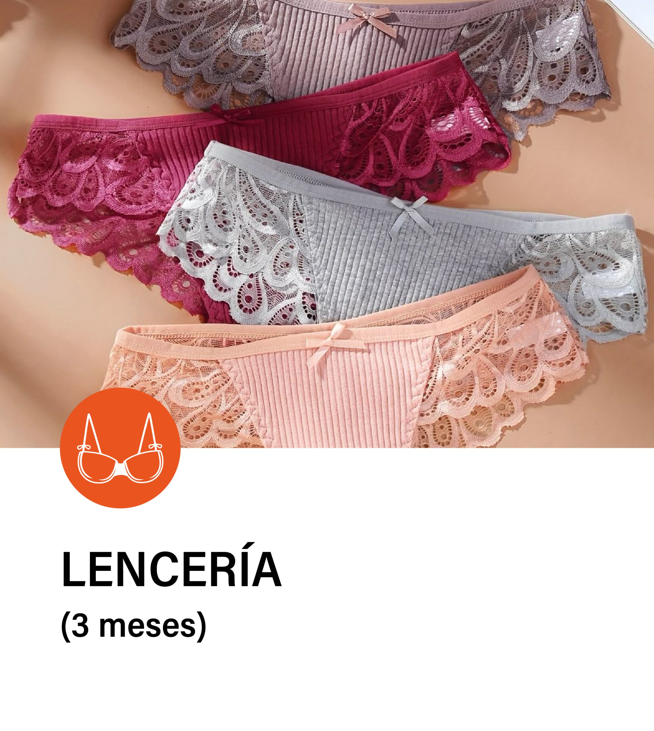 WEB CETPRO_LENCERIA -03